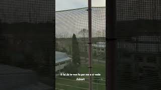 Rete In Balcone Per Il Gatto