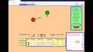 Phet Collisions Lab data (Out of date version, No commentary) Net Worth