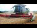 Two Claas Lexion 780 Combines Harvesting together in Co. Wexford, Ireland