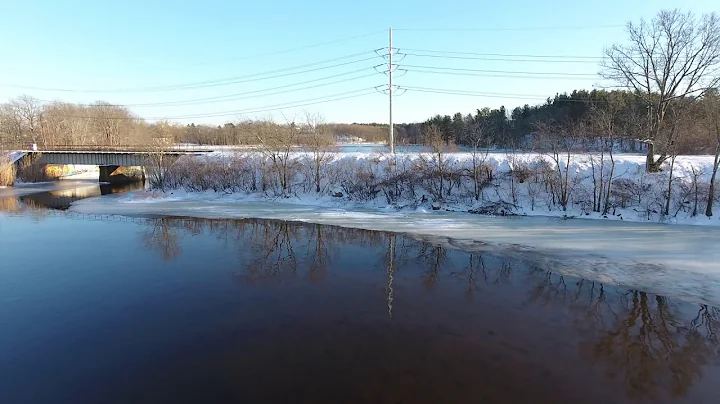 2017 Boston Swan Lake