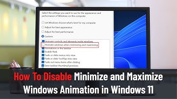How To Disable Minimize and Maximize Windows Animation in Windows 11 (Tutorial)