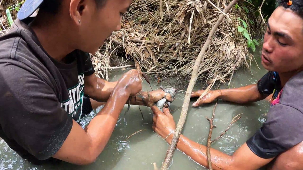 Ловля пресноводной рыбы на ужин #провинциальнаяжизнь #рыбалка
