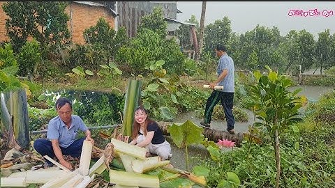 Thử Làm Món CHUỘT ĐỒNG NẤU MẺ NHÚNG LÕI CHUỐI NON Trắng Tươi Vậy Mà Ngon..| HSQ #195