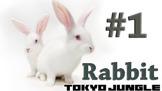 Tokyo Jungle - Rabbit Survival Part 1 of 3 screenshot 5