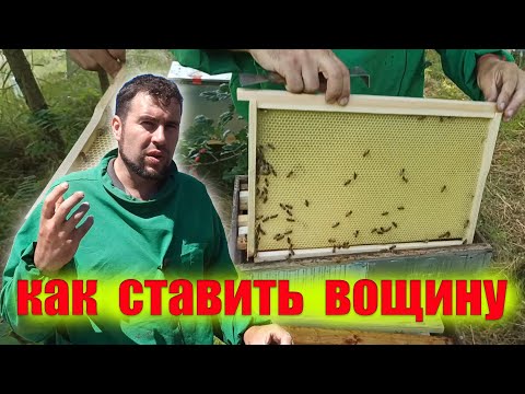 Когда подставлять вощину. Как и когда подставлять вощину пчелам . Доставили корпус вощины 8 рамок