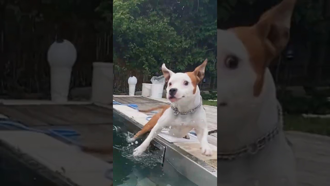 This Looks Like A Cartoon 😂