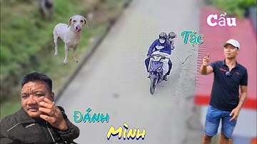 Bị Cẩu Tặc Ở Cổng Nhà A Quế Nghịch Đuổi Đánh Ngoài Đồng Một Mình /Nhân Bé Nhỏ 