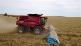 Morvenvale Harvest 2017