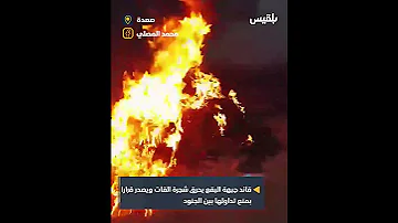 قائد جبهة البقع في صعدة يحرق شجرة القات ويصدر قرارا بمنع تداولها بين الجنود 