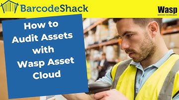 Auditing Assets with Wasp Asset Cloud