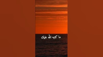 #quran #القرآن_الكريم ❤️💚🤍🕊 #yasseraldossary #المصحف #لايك #تلاوة_خاشعة #اكسبلور #duet