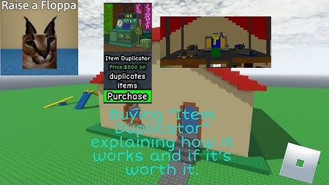 [raise a floppa] Buying and explaining how "Item Duplicator" works and if it