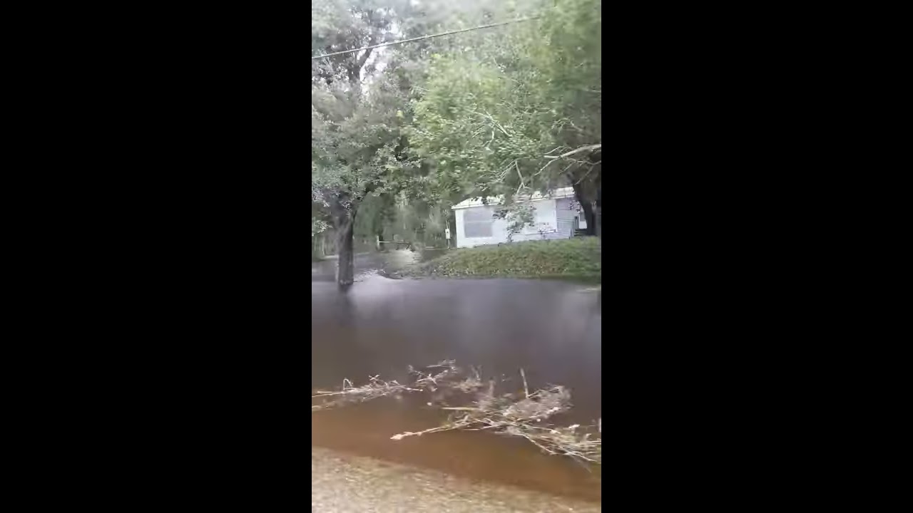 Hurricane Irma Wesley chapel - YouTube