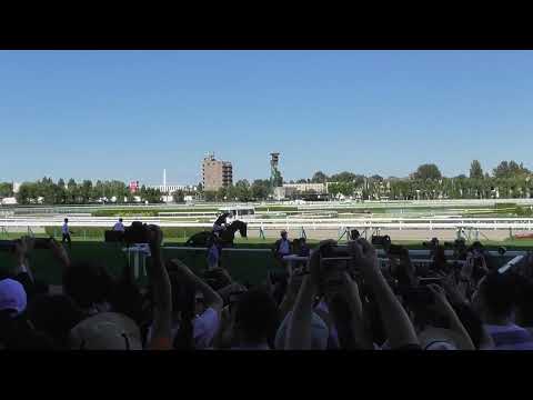 【札幌競馬場】札幌記念2022　本馬場入場　現地映像　低視点