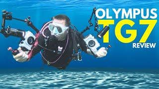 : Olympus TG7 underwater test