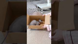 How To Make A Pet House In 3 Minutes