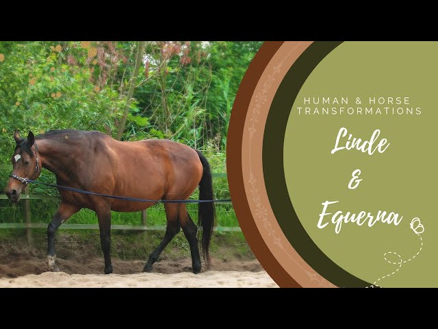 Transformation of Linde & Equerna | Human & Horse Academy