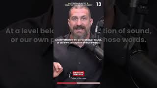 Why Reading Books Makes Us Better at Speaking - Andrew Huberman