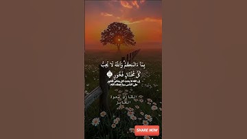 تلاوة خاشعة من القرآن الكريم بصوت القارئ سعود فايز | تلاوة مؤثرة تهز القلوب
