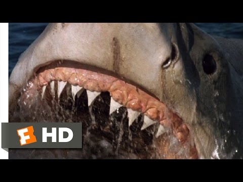Jaws: The Revenge