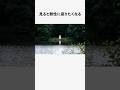 静かな湖畔の特等席に関する面白い雑学 #フィクション
