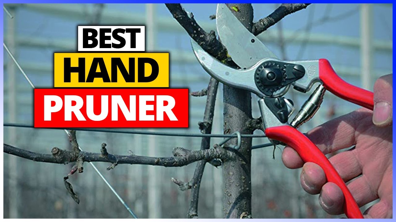 Best Hand Pruner 2023 [Top 6 Hand Pruner Review] YouTube