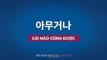 Học tiếng Hàn 2021 | MỖI NGÀY MỘT CÂU TIẾNG HÀN [아무거나]