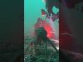 OCTOPUS SHOWDOWN AMAZING RARE VIDEO #ocean #octopus #trending #fishing