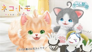 【ネコトモ】 ”猫たちよ、私を癒してください”  ～メルヘンな世界へ～ ※ネタバレあり