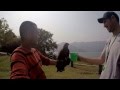 Birds of Prey Nepal (Falconry Experience)
