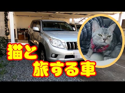 猫と旅する車 Youtube