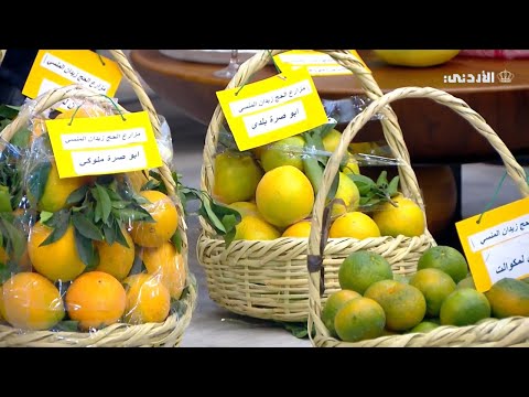 خيرات بلادنا تطوف مع عطر البرتقال إلى كل أرجاء المعمورة