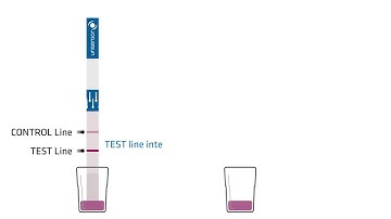 How to interpret lateral flow test result?