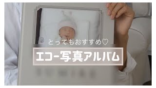 エコー写真アルバム紹介