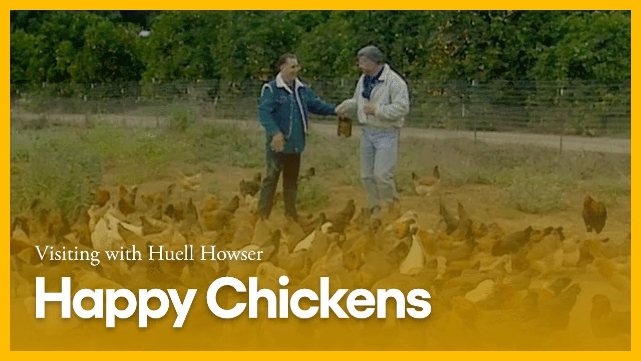 Happy Chickens | Visiting with Huell Howser | PBS SoCal - YouTube