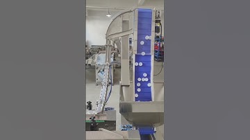 Automatic cap wads inserting machine dual heads cap liner inserter assembly Machine