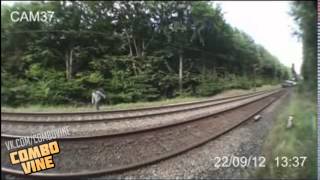 Combo Vine #494