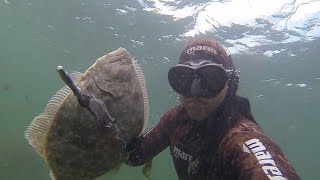 Spearfishing at the Jersey Shore