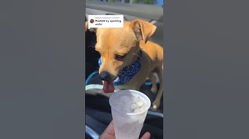 #youtube #youtubeshorts