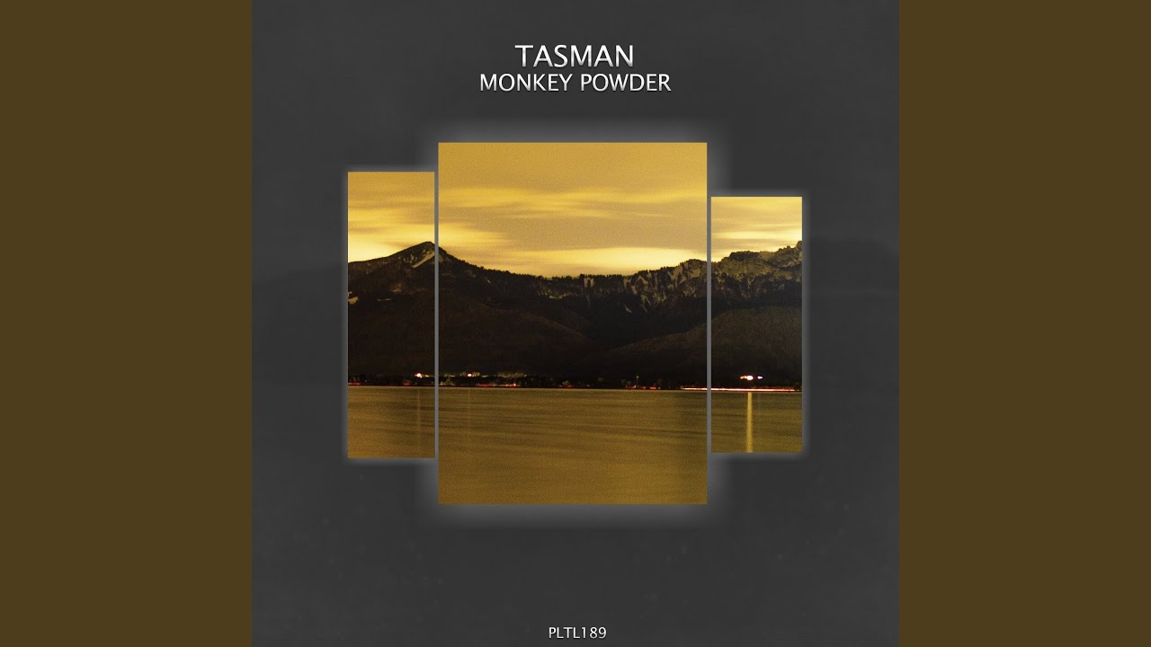 Monkey Powder (Original Mix)