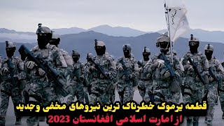 خطرناک ترین نیرو های مخفی و جدید از امارت اسلامی افغانستان که باورتان نمی شود ?