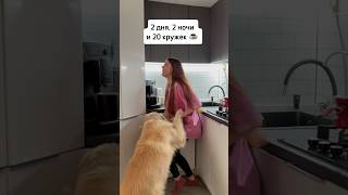 Я приняла самое дикое решение в своей жизни. Осталось 3 месяца💪