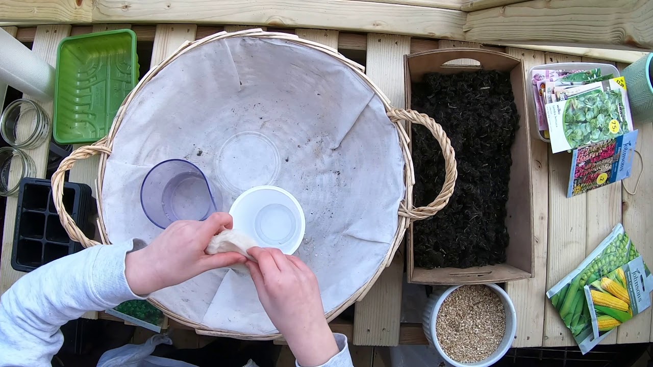 How to grow.... cress YouTube