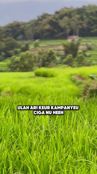 CERAMAH SUNDA SINGKAT #kampungsepi #storywa #shortvideo