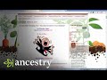 Five Things You Can Do This Weekend to Clean Up Your Family Tree | Ancestry