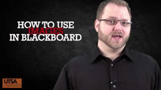 How to Use Images in Blackboard