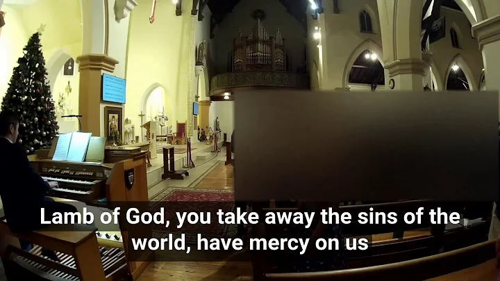 Mass of St Francis (Paul Taylor) - Lamb of God