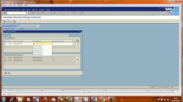 Create/Define Number Range for Document Types in SAP FI module.