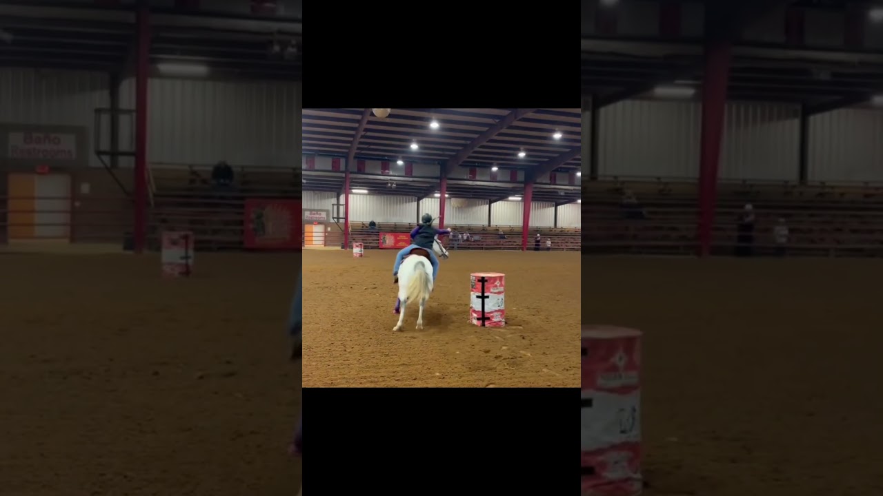 LOVE THIS HORSE TO DEATH 