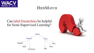 HIERMATCH: Leveraging Label Hierarchies for Improving Semi-Supervised Learning